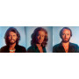 Bee Gees Greatest (USA) (1St Press) (Triple Gatefold) (2 LP)