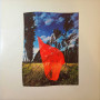Pink Floyd - Wish You Were Here (1St Press) (LP)